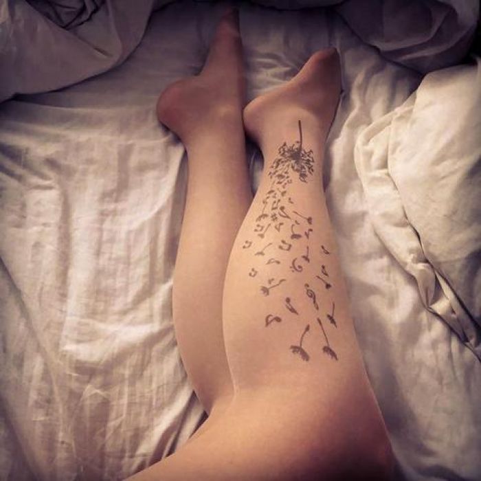 Stop And Stare Musical_dandelion_6_large  Lookbook 2018 | Pantyhose Library